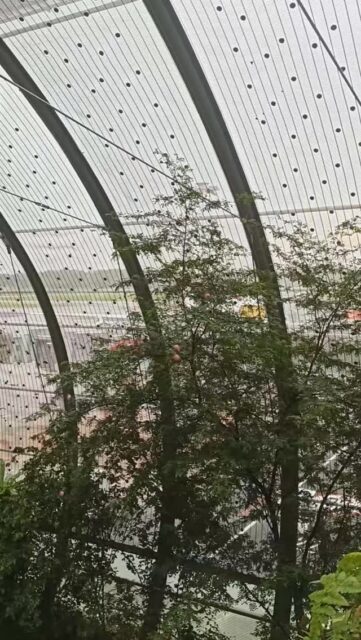 We're always seeking nature, even at the airport!