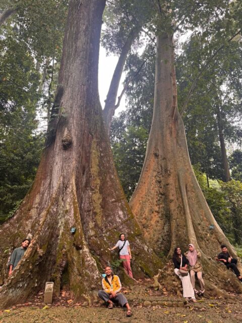 Oh how small we are, compared to nature. 💚