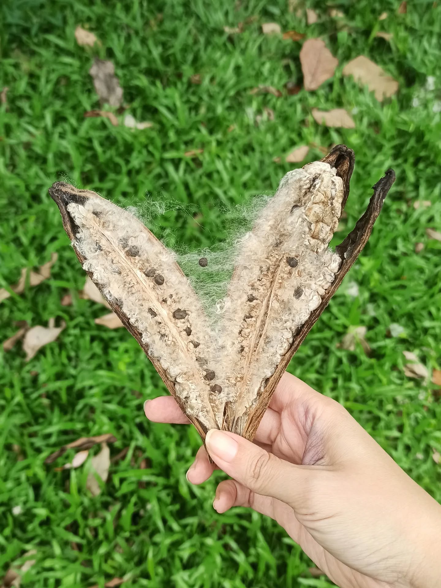 Love is everywhere in nature.
#bywindandwave