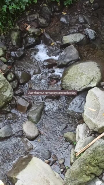 Just what your nervous system needs today.
#nature #waterfall #bywindandwave