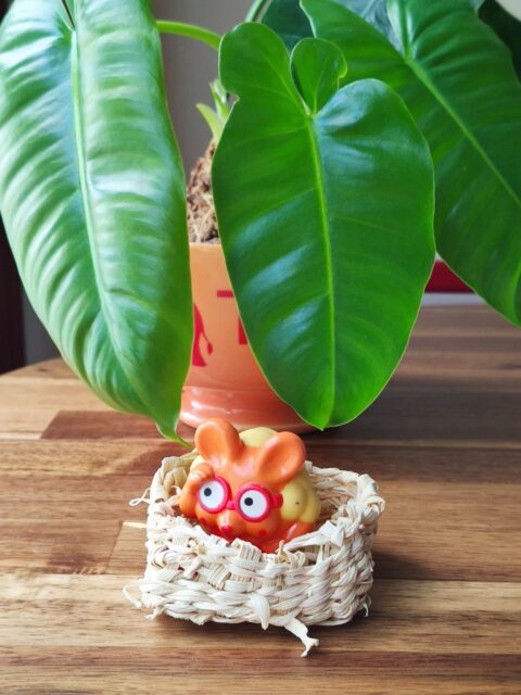 Peekaboo! A happy camper emerges from growing plants and weaving baskets 🌾
#therapeutichorticulture #gardening #weaving #bywindandwave