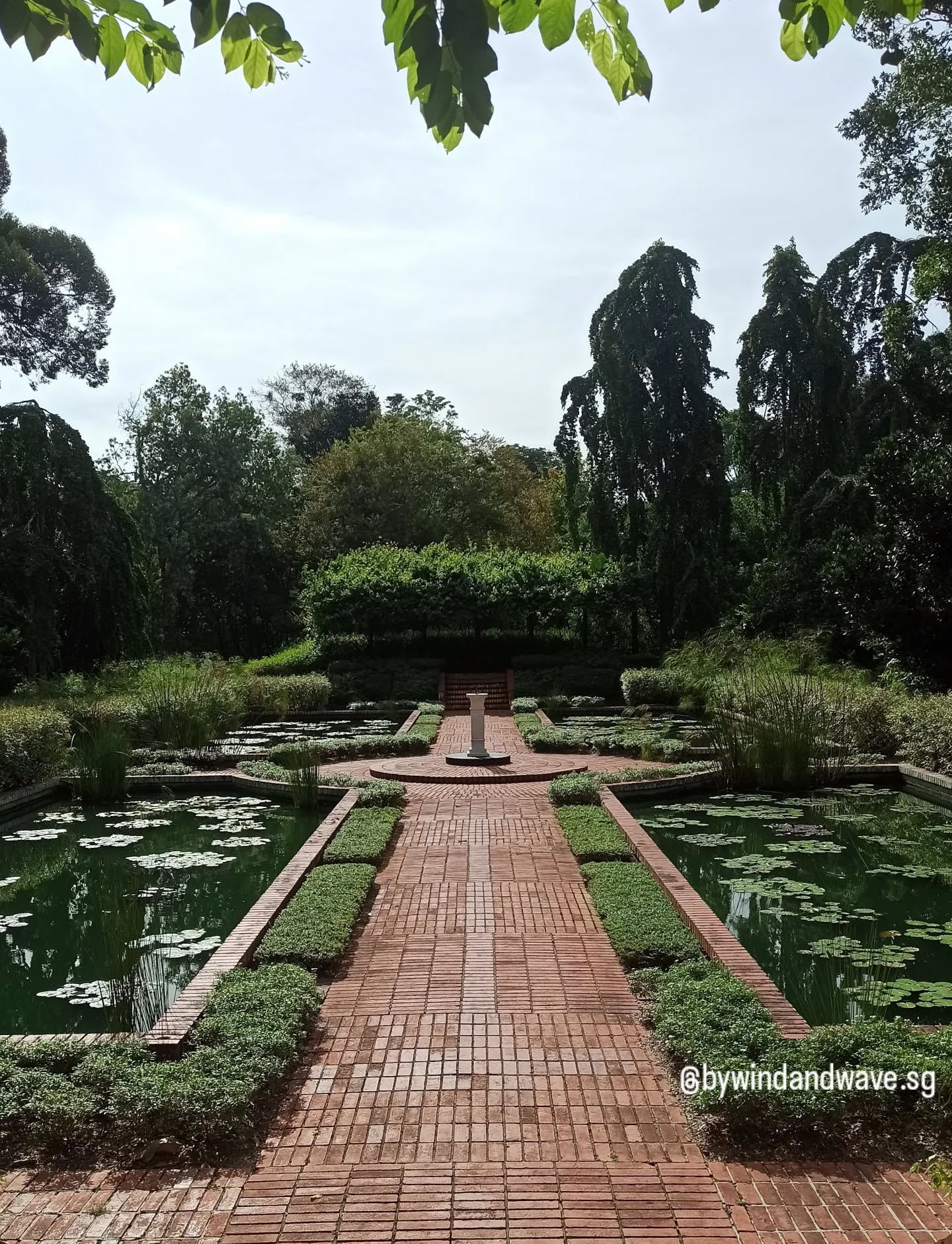 Our short pause in the shade was graced by common tailorbirds and pin-striped tit-babblers. We entered the rainforest and were immediately welcomed by the drop in temperature and the mesmerising greater racket-tailed drongo which went unnoticed by many who sped past us. Thankful for the brief moments of awe. 🐦
#noticingnature #awe